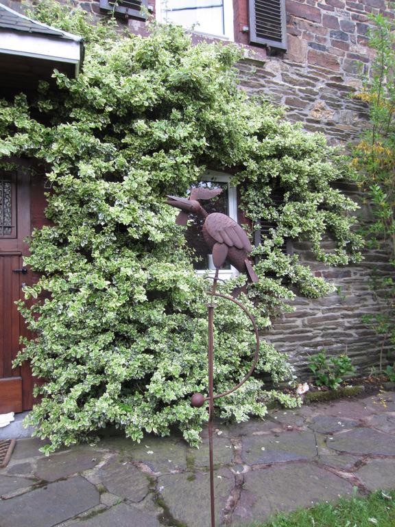 Villa Au Jardin De Mon Père Jalhay Exterior foto